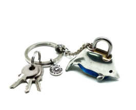 Padlock, Dolphin