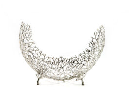 Object, Antler Coral-Moon Half Shaped (Size S)